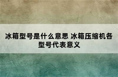 冰箱型号是什么意思 冰箱压缩机各型号代表意义